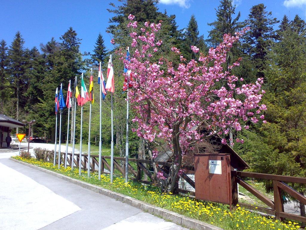 Camping Pivka Jama Postumia Esterno foto
